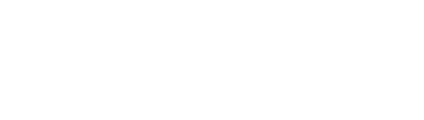 NexSiteTech logo light